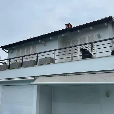 ヴィラ Swimming Pool